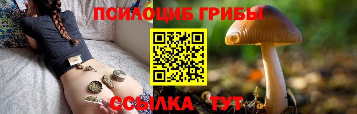 Псилоцибиновые грибы мицелий Верхняя Салда